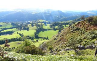 A Purposeful Life - Knowing your purpose
